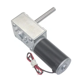 DC 5840-31ZY Worm Gear Motor Strong self-locking force 51MM Long Axis Motors
