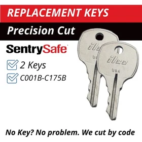 Sentry Safe C001B-C175B Keys Firebox Cash Box Replacement Key Cut to your Code
