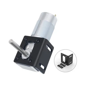 5840-555 Worm Gear Brush Motor 12V 24V Single Long Shaft Self-locking Metal Gear