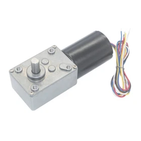 DC12V 24V 5840 Brushless Motor Turbo Worm Gear Motor with Full Metal Gearbox
