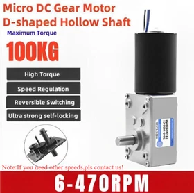 6-470RPM DC 12V/24V 5840-3650 Worm Geared Motor Self-Locking Brake Large Torque