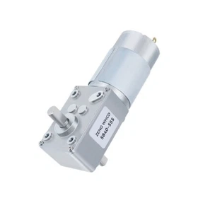 DC 12V24V Double Short Shaft Worm Gear Reduction Brush Motor 5840-555 Metal Gear