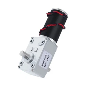 Double Output Shaft 5840-31ZY Worm Gear Reduction Self-locking Motor DC 12V 24V