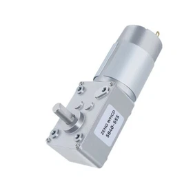 5840-555 Worm Gear Reduction Brushed Motor DC12V24V Reversible Self-locking Gear