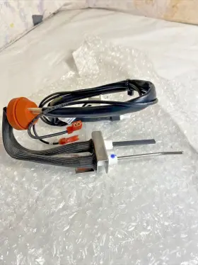 100111122 A. O. SMITH Rogers Igniter Ignition Kit