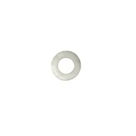 100338897 A.O. SMITH Flame Rod Gasket Odx