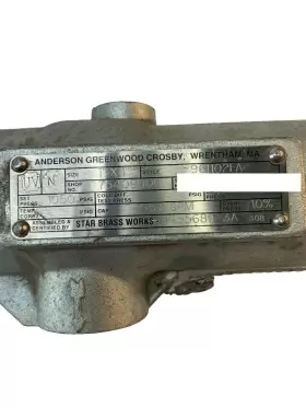 961102FA ANDERSON GREENWOOD CROSBY Relief Valve #2