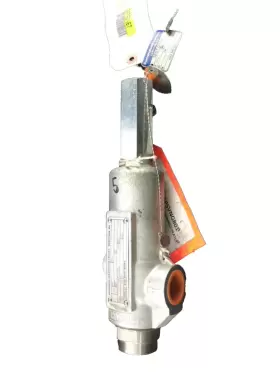 961102FA ANDERSON GREENWOOD CROSBY Relief Valve