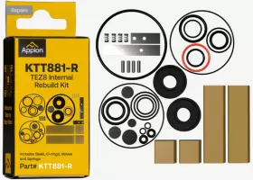 KT881-R APPION Vacuum Pump Internal Rebuild Kit