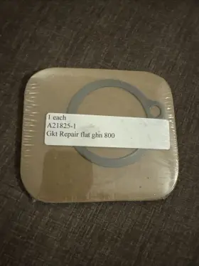A21825-1 ARMSTRONG INTERNATIONAL Gasket Trap
