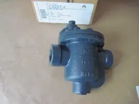 C5297-9 ARMSTRONG INTERNATIONAL Inverted Steam Trap Fnpt