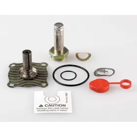 302385 ASCO Rebuild Kit