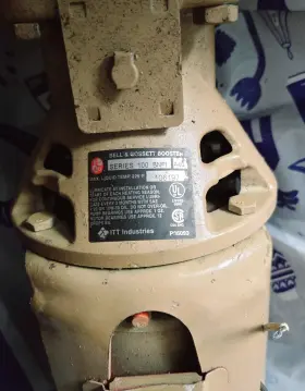 100BNFI B-G Circulator Pump
