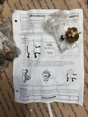 DBH110 BRAUKMANN Radiator Valve Conversion Dunham Hoffman #2