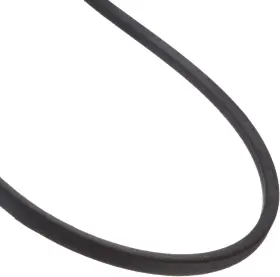 BP136 DAYCO Ribbon Belt