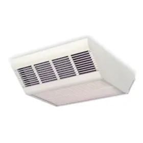 2YU35 DAYTON Downflow Ceiling Heater
