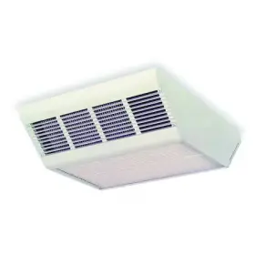 2YU40 DAYTON Convection Ceiling Heater