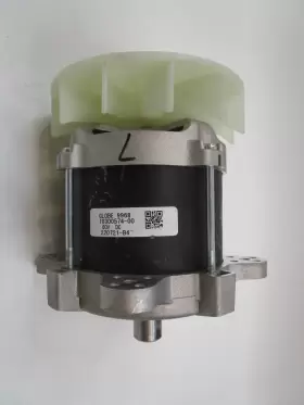 220721-B4 GLOBE Motor