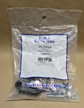 596613 GRUNDFOS Flange Cast Iron Johnstone Kit