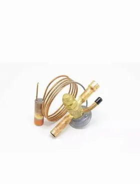 180957P2S LIEBERT Thermal Expansion Valve Txv