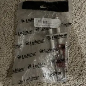 100304989 LOCHINVAR Ignitor Gasket