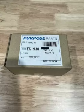 100074673 LOCHINVAR A.O. SMITH Flame Rod