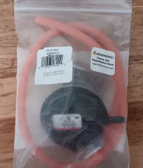 100187859 LOCHINVAR A.O. SMITH Blocked Outlet Switch