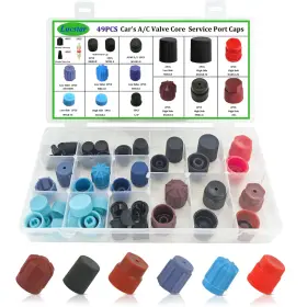 V007A LUCSTAR Ac Pressure Port Cap