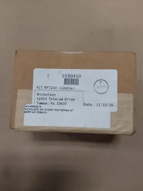 NFT250 NICHOLSON Steam Trap Repair Kit