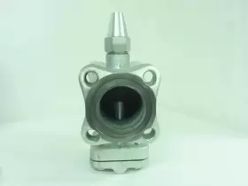 700BXHZA6GZZ PHILLIPS Box Check Valve #3