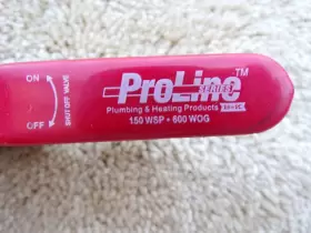 107-811 PROLINE Fnpt Inline Port Ball Valve #3