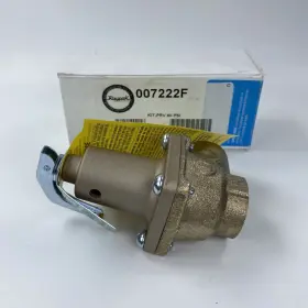 007222F RAYPAK Watts Prv Relief Valve Kit