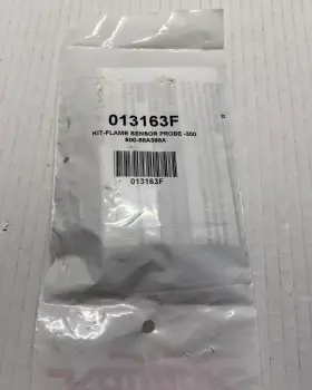 013163F RAYPAK Flame Sensor
