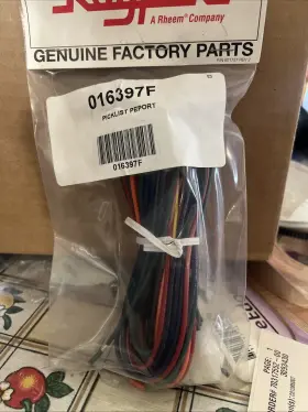 016397F RAYPAK Wire Harness Cabinet