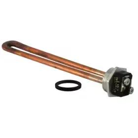 SP10873GH RHEEM Element