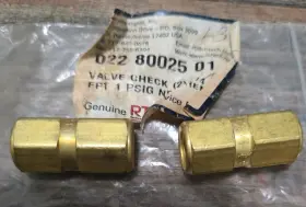 80025 RTI Check Valve Fpt