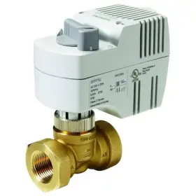 243-00210 SIEMENS Globe Valve