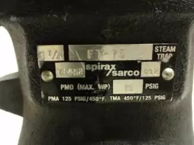 FT-75 SPIRAX SARCO Cast Iron Float Npt #2