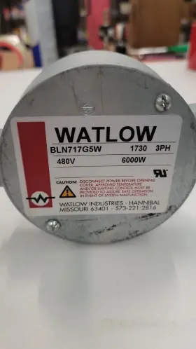 BLN717G5W WATLOW Imnersion Heater