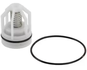 098268542868 WATTS Check Repair Kit #2