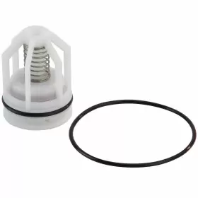 098268542868 WATTS Check Repair Kit