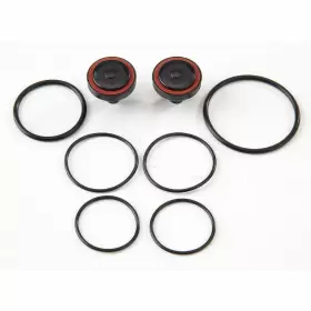 6AUR9 WATTS Rubber Kit