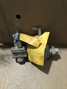 0388805 WATTS Dual Control Regulator Relief Valve