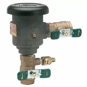 0792025 WATTS Spill Vacuum Breaker