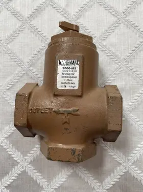 098268300437 WATTS Flow Check Angle Horizontal
