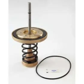 098268542769 WATTS Check Repair Kit