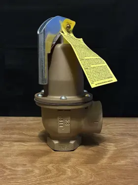 F383484 WATTS Boiler Pressure Relief Valve