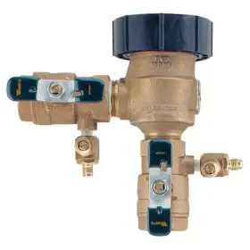 LF800M4-FR WATTS Backflow Preventer