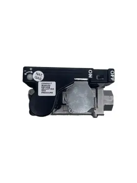 S1-02543257000 YORK Manifold Gas Valve #2