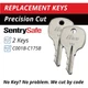Sentry Safe C001B-C175B Keys Firebox Cash Box Replacement Key Cut to your Code